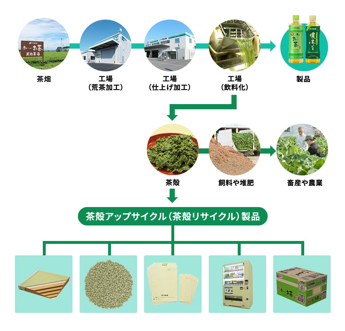 サステナビリティ画像1:株式会社伊藤園